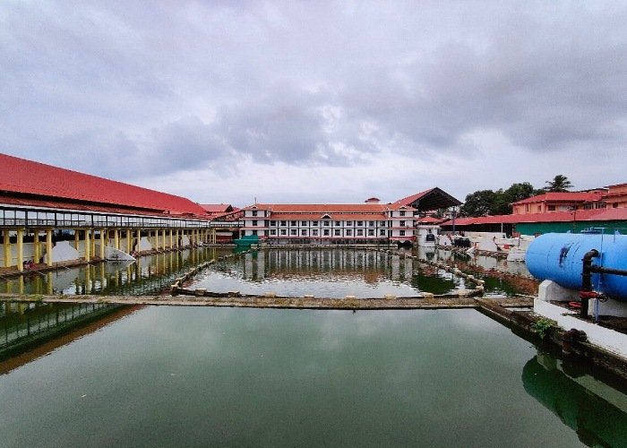 Guruvayur Temple Gallery Photo 5